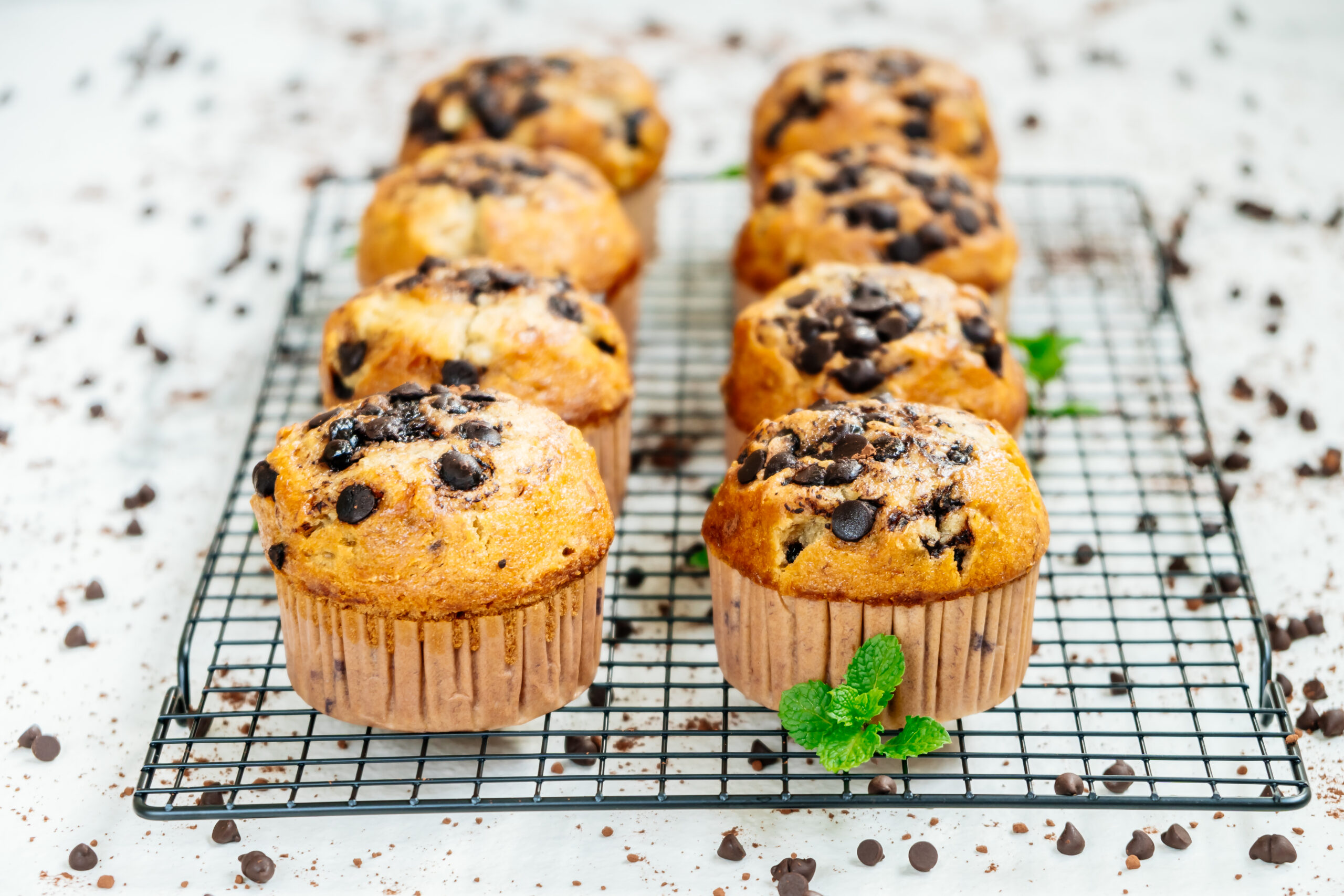 Ultimate Muffin Recipe